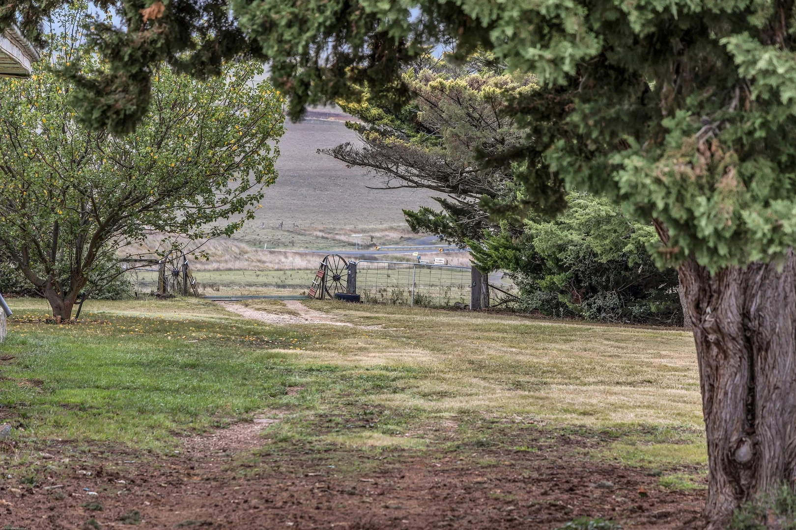 Additional image 27 of 1881 The Snowy River Way, Bungarby NSW 2630