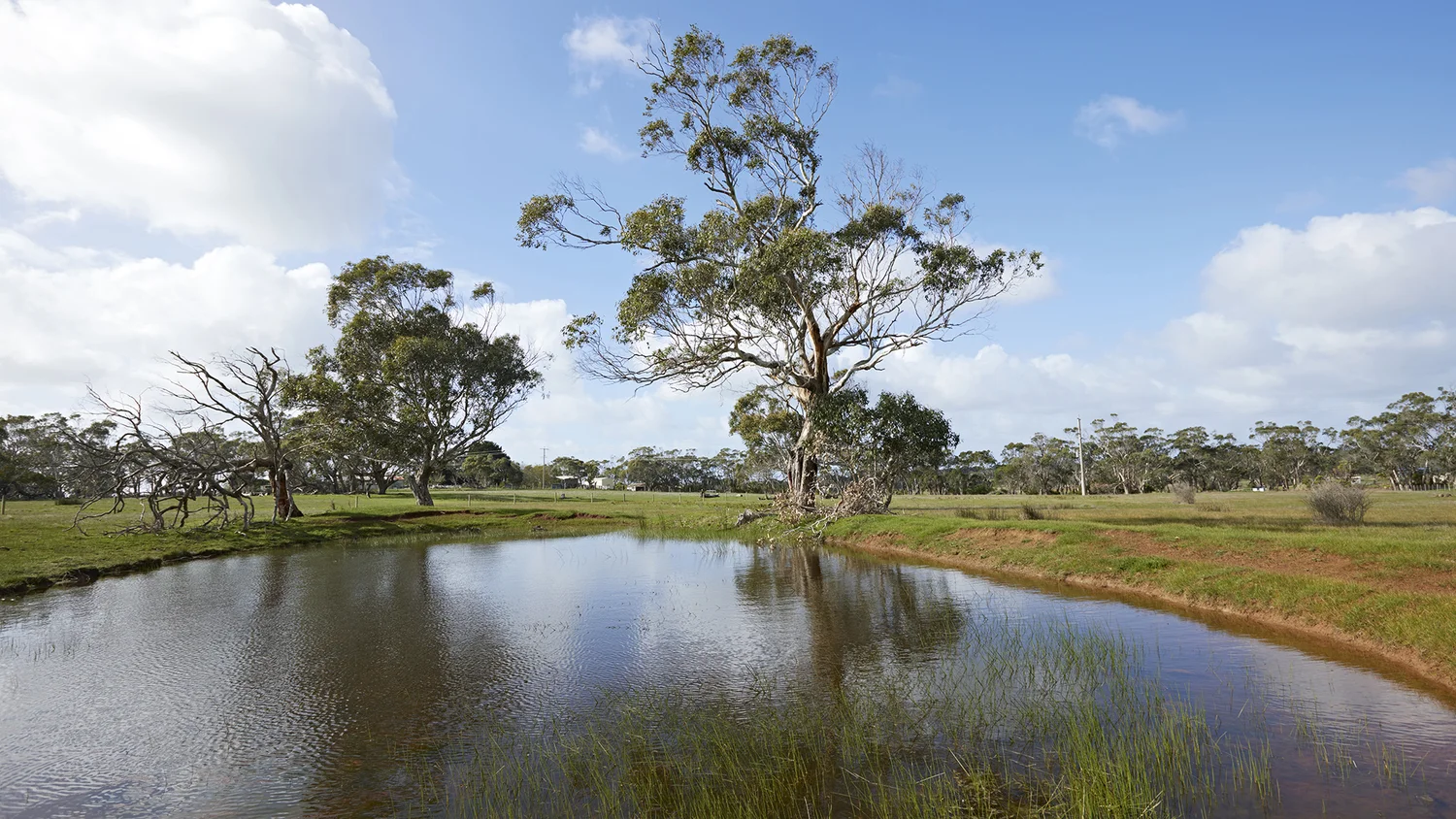 Additional image 4 of 74 Crowes Road, Portland VIC 3305