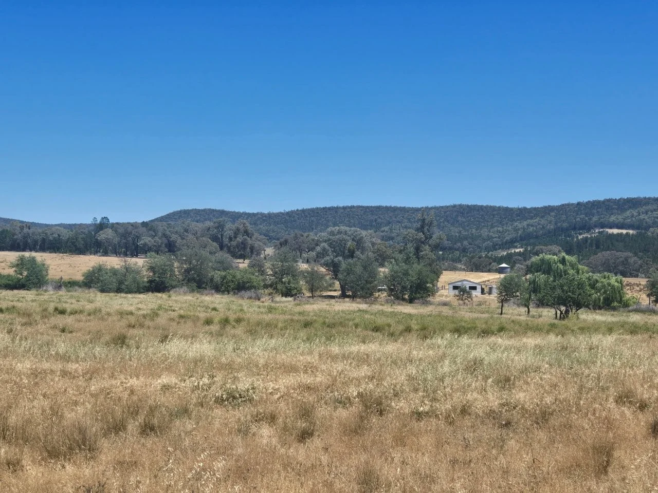 Additional image 25 of "Abercorn", 2154 Kangarooby Road, Gooloogong NSW 2805