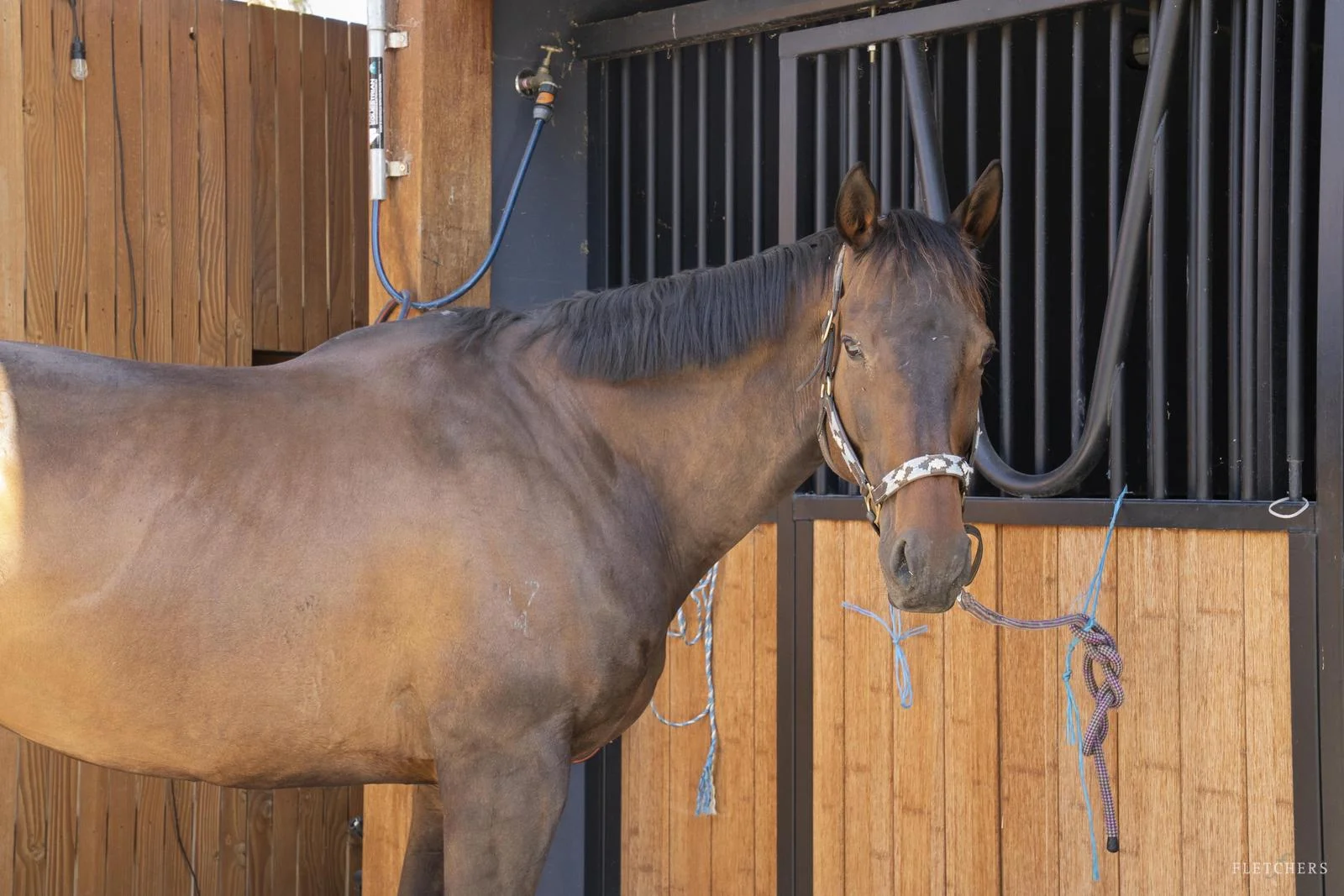 Additional image 20 of 355-359 Ringwood Warrandyte Road, Warrandyte VIC 3113