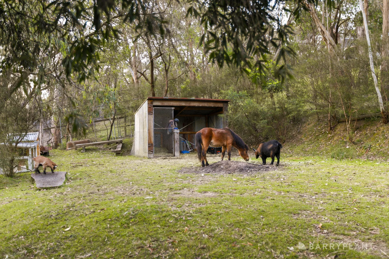 Additional image 18 of 400 Ringwood-Warrandyte Road, Warrandyte VIC 3113