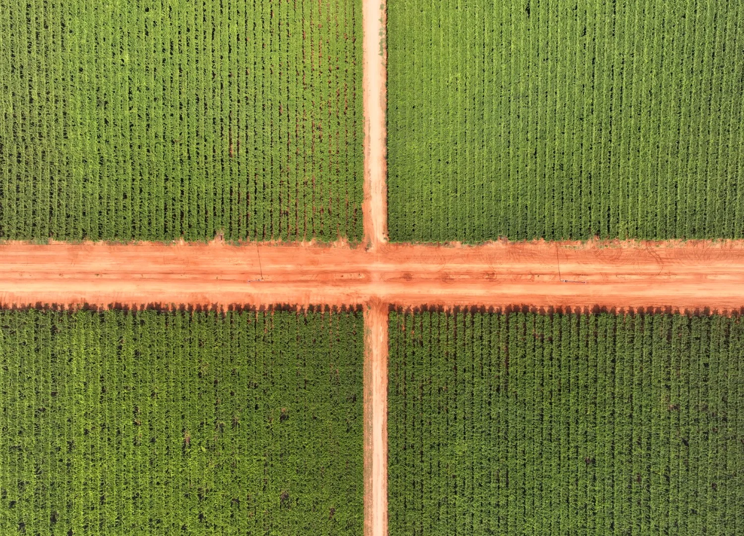 Additional image 13 of 1251 Stanitzki Road, Pike River SA 5340