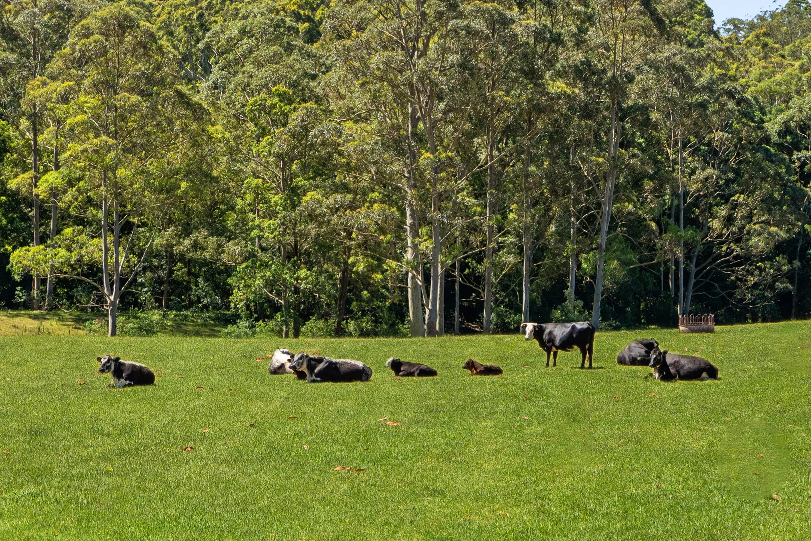 Additional image 2 of 37 Chittaway Road, Kangy Angy NSW 2258