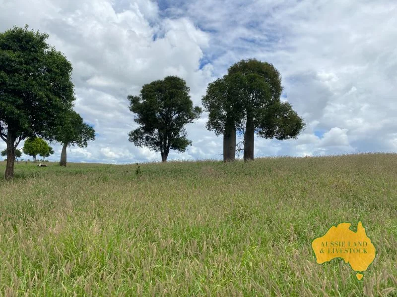 Additional image 7 of 474 Wigton Rd, Gayndah QLD 4625