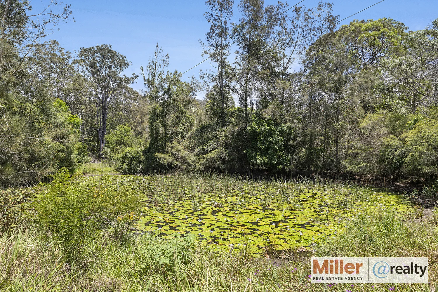 696 Grassy Head Road, Way Way NSW 2447