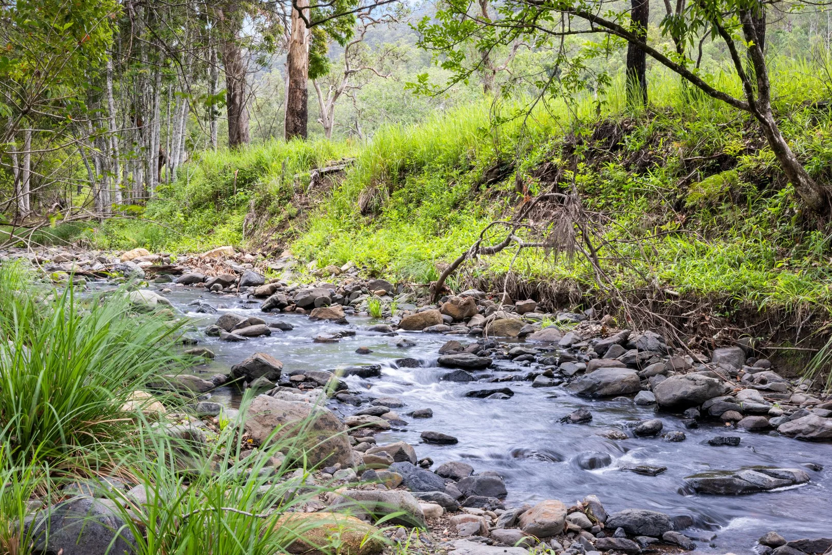 Additional image 3 of 737 Smiths Creek Road, Smiths Creek, Kyogle NSW 2474