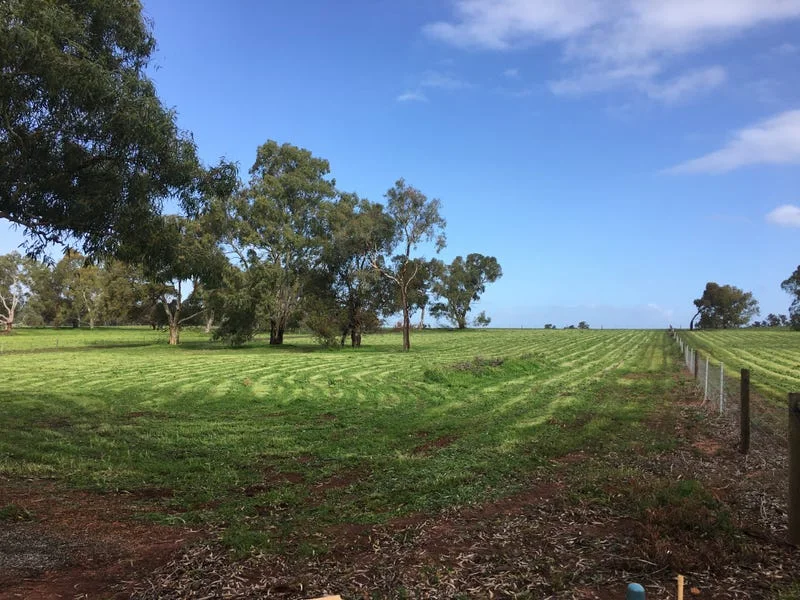 Additional image 9 of Lot 81 Cheriton Road, Gingin WA 6503