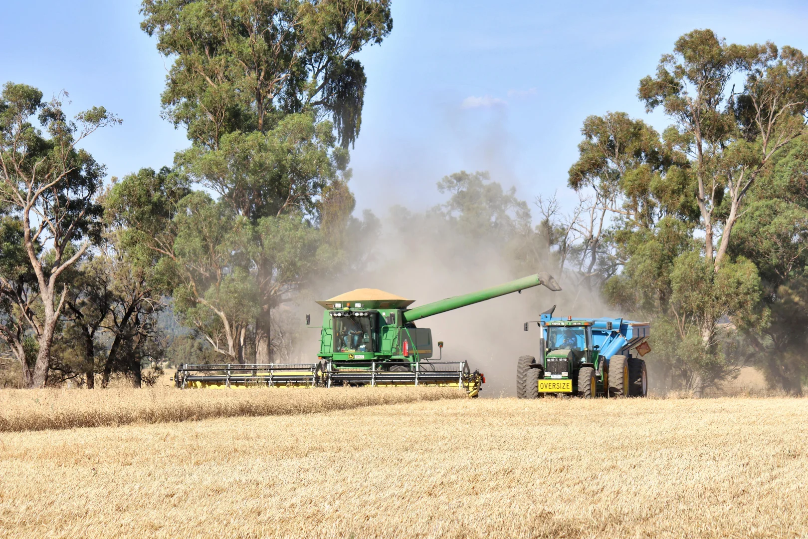 Additional image 11 of 1349 Trungley Hall Road, Temora NSW 2666