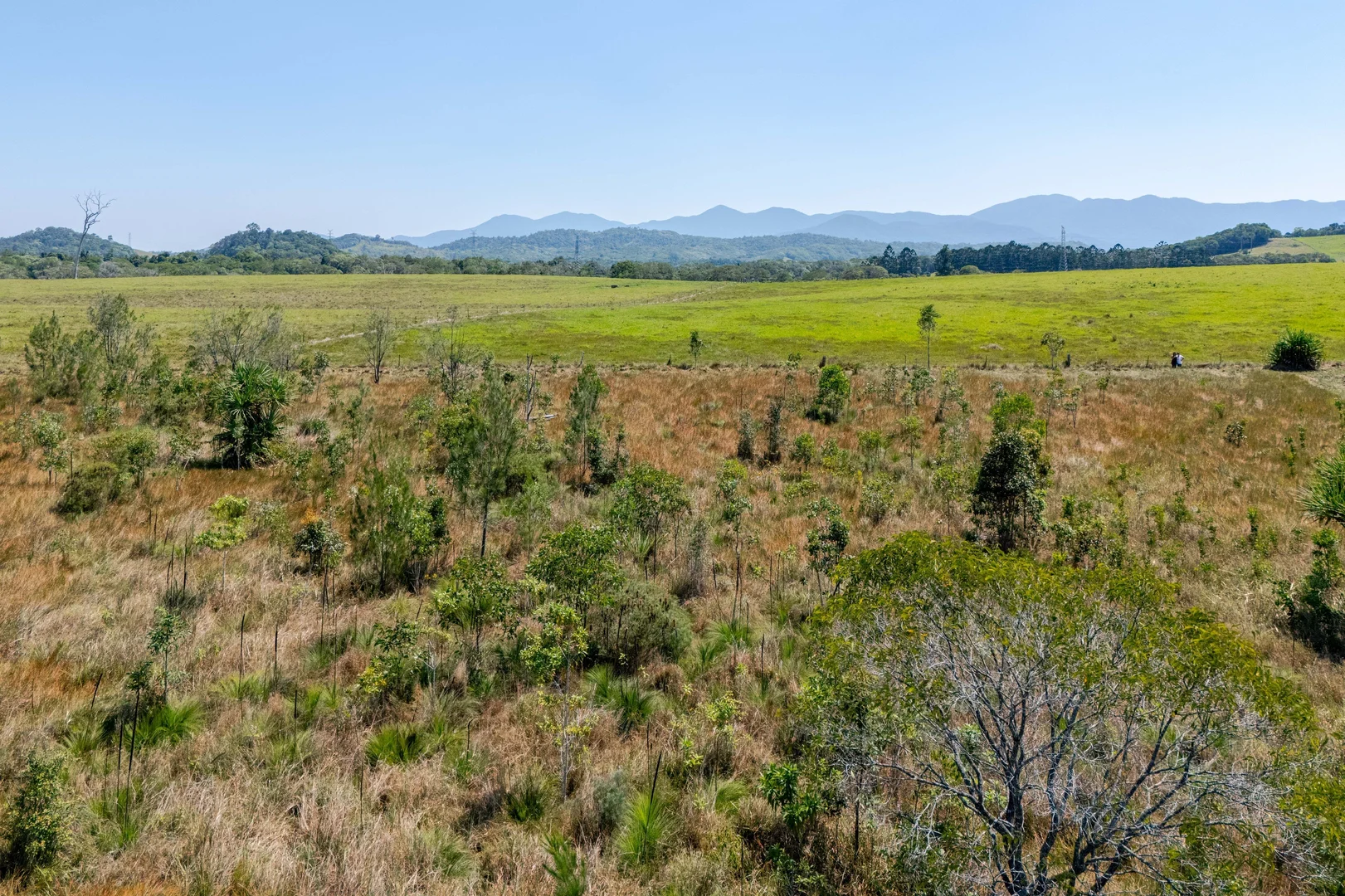 Additional image 27 of Lot 93/96 Mary Jane Drive, Julatten QLD 4871