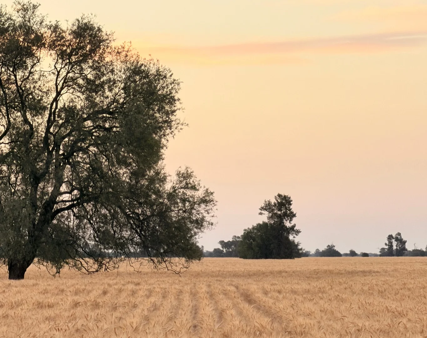 Additional image 7 of Buddabadah NSW 2825