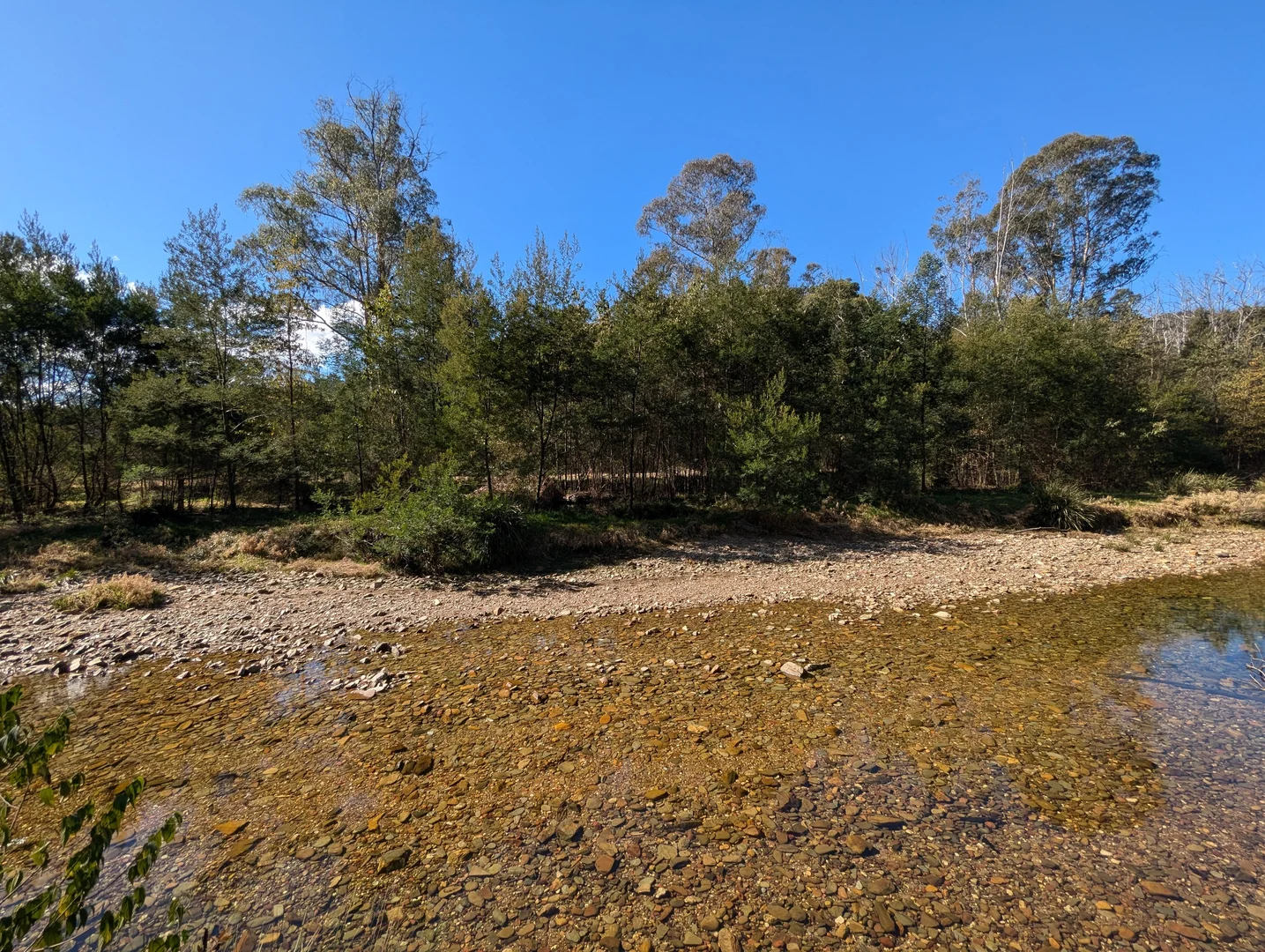 Additional image 28 of 115 Gulph Creek Road, Nerrigundah NSW 2545