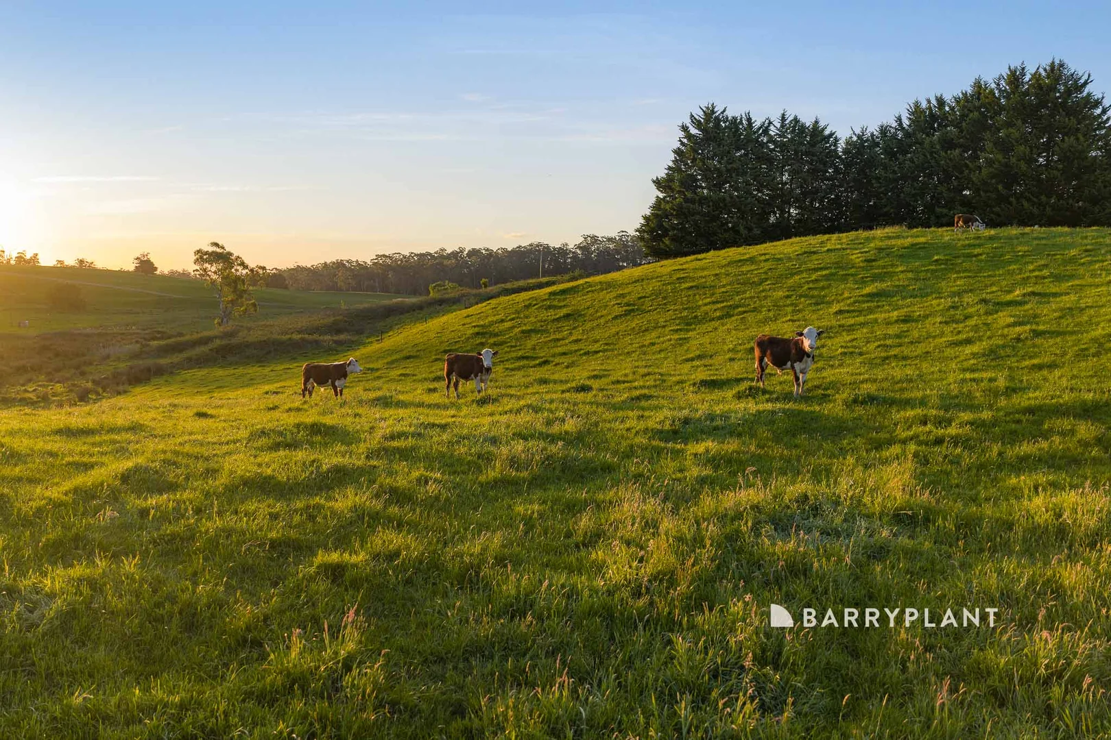 Additional image 5 of 410 Old Sale Road, Drouin West VIC 3818