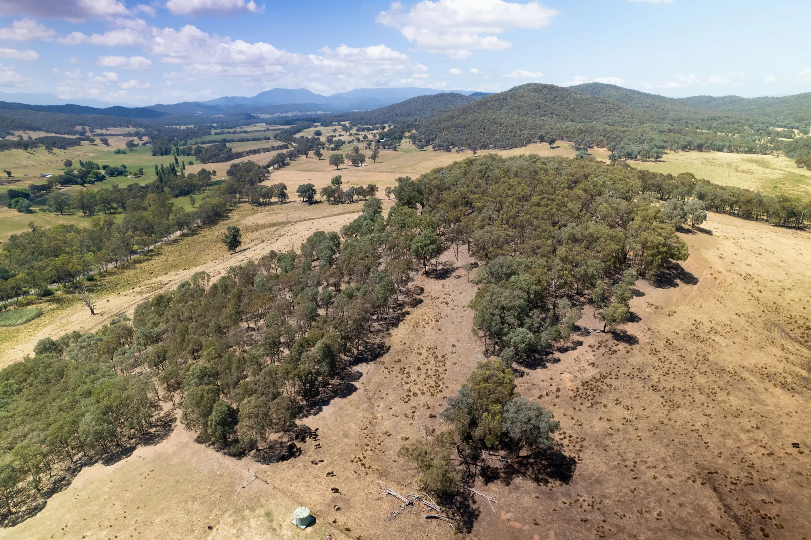 Additional image 7 of - Moyhu-Meadow Creek Road, Moyhu VIC 3732