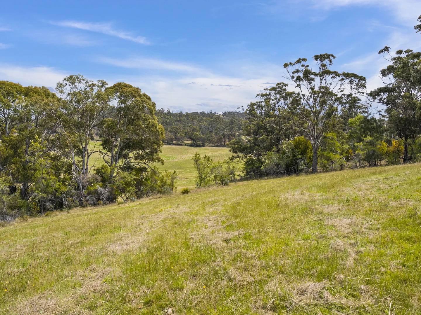 Additional image 27 of 1 Aldridge Road, Orielton TAS 7172