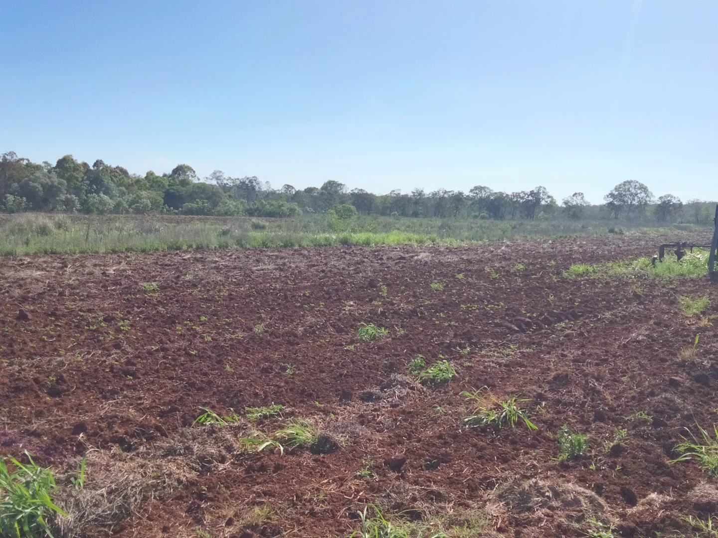 Additional image 5 of 2913 Rosedale Road, Yandaran QLD 4673