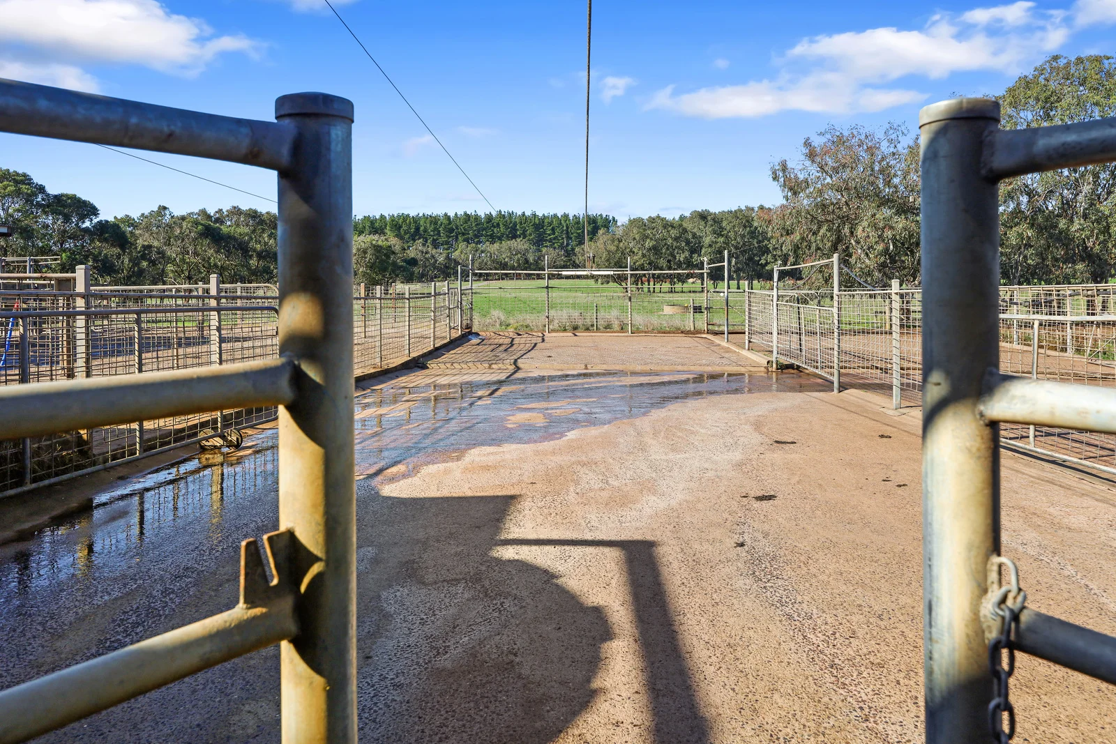 Additional image 18 of 140 Savins Road, Condah VIC 3303