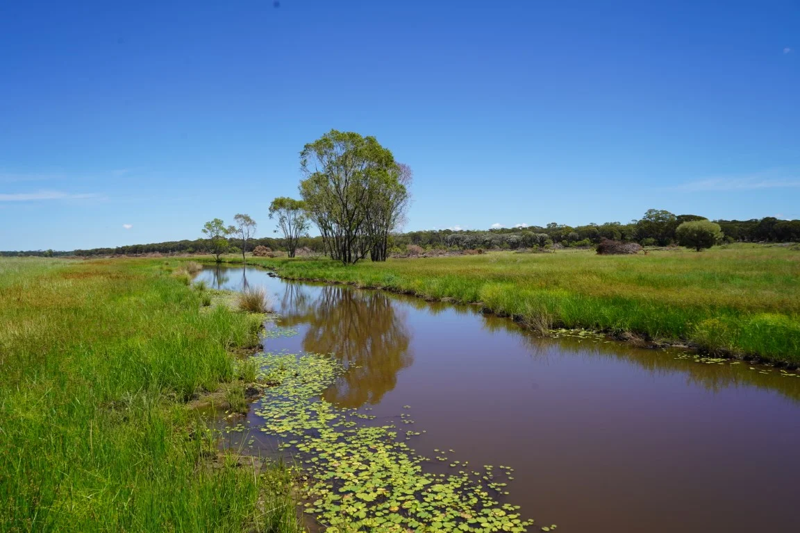 Additional image 6 of 1081 Tareela Access Road, Mungallala QLD 4467