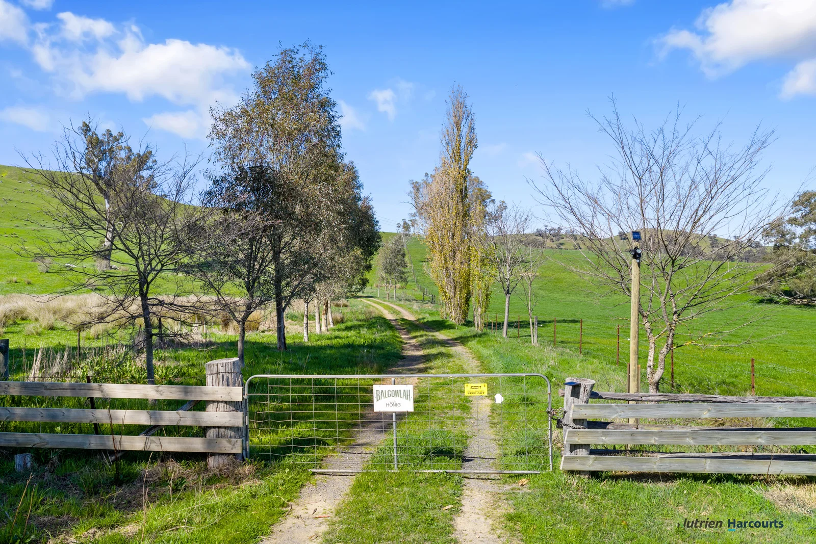 Additional image 10 of 53 Halls Outlet Road, Alexandra VIC 3714