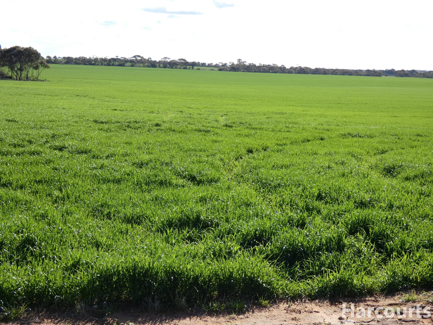 Additional image 5 of 4429 Hopetoun-Rainbow Road, Rainbow VIC 3424