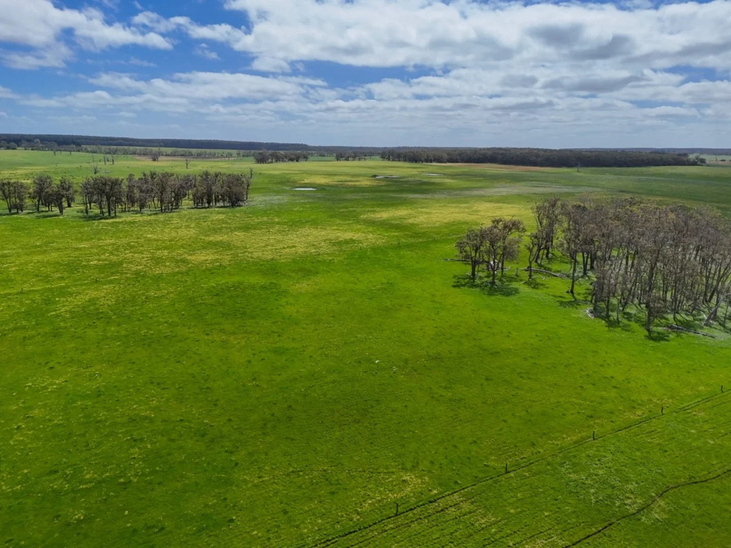 Additional image 18 of 830 Condah-Ettrick Road, Milltown VIC 3304
