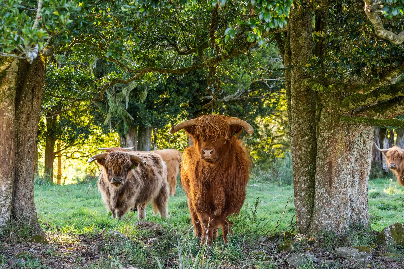 Additional image 24 of 4980 Illawarra Highway, Robertson NSW 2577