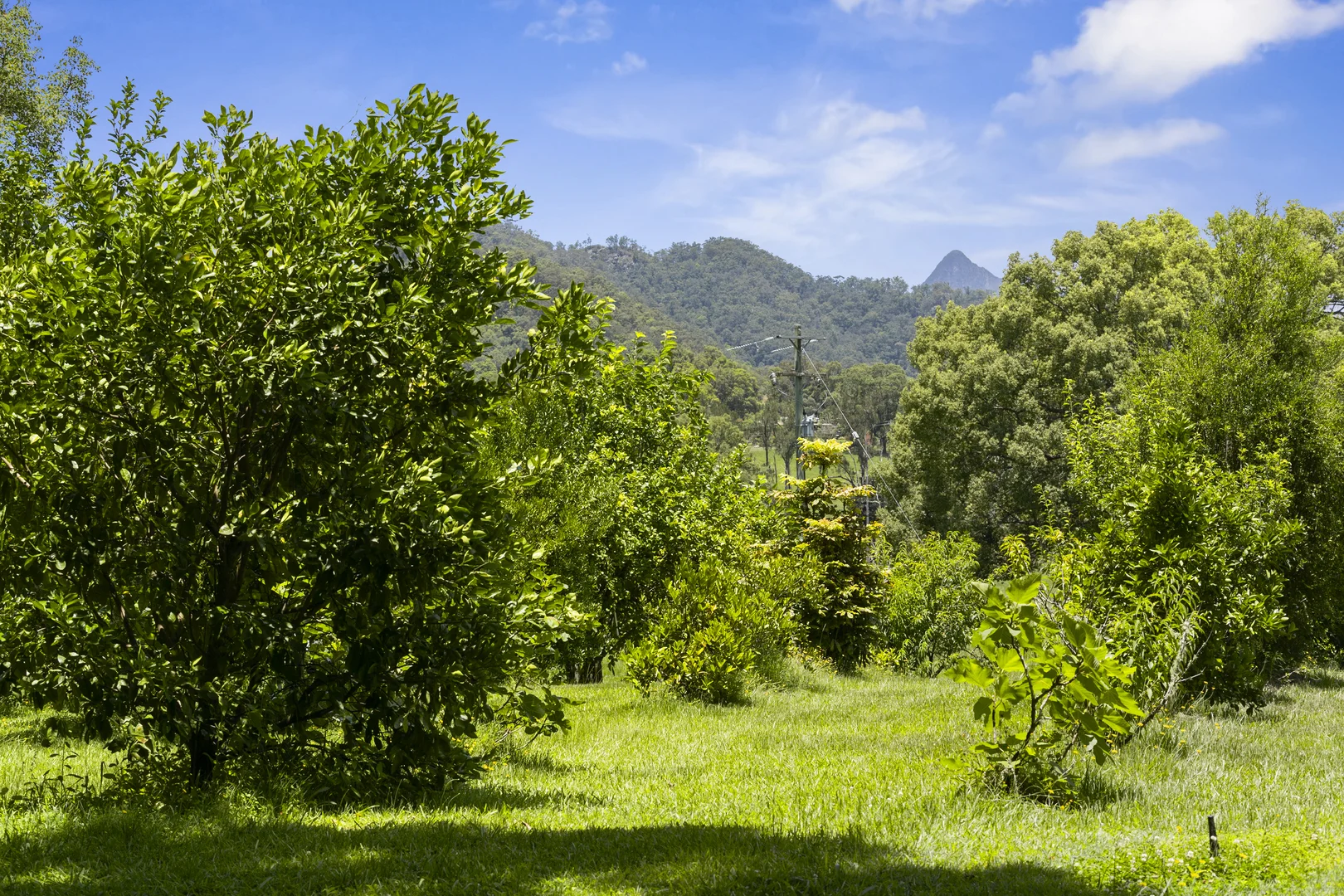 Additional image 29 of 981 Numinbah Road, Crystal Creek NSW 2484