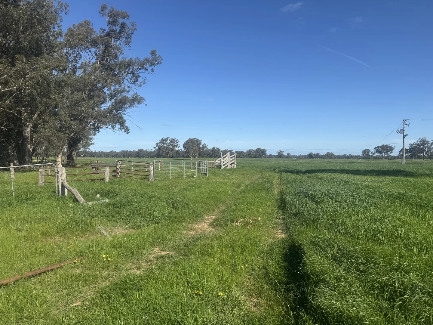 Additional image 29 of . Bangerang Road, Kanyapella VIC 3564