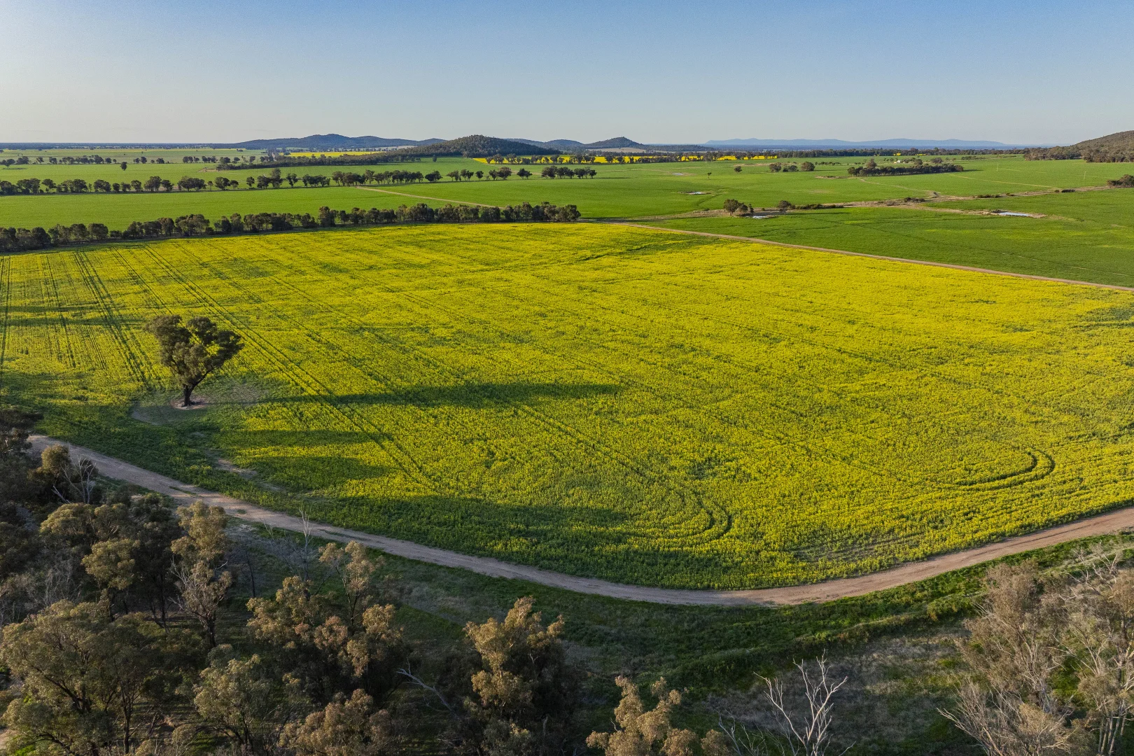 Additional image 2 of 409 Trungley Hall Post Office Road, Temora NSW 2666