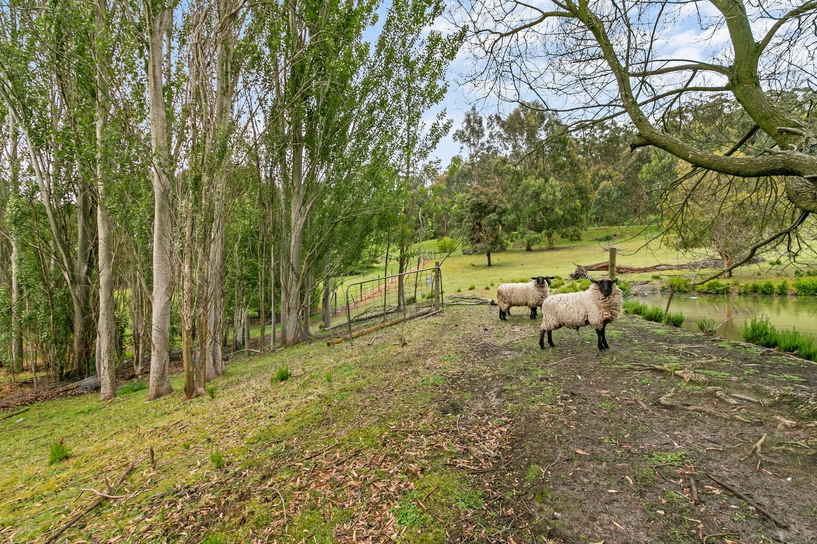 Additional image 38 of 415 Glendonald Road, Hazelwood South VIC 3840