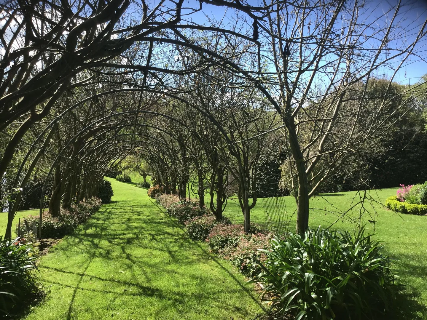 Additional image 35 of 99 King Street, Smithton TAS 7330