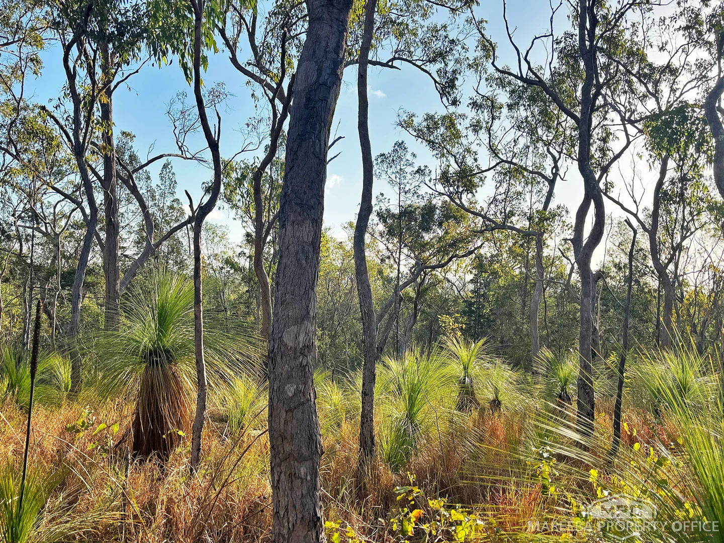 Additional image 7 of Lot 174 Fantin Road, Koah QLD 4881