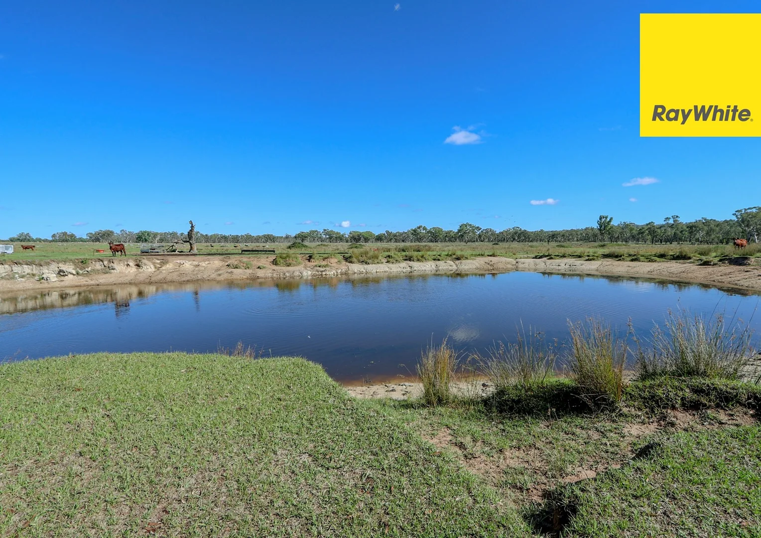 Additional image 22 of 404 New Valley Road, TINGHA, Inverell NSW 2360