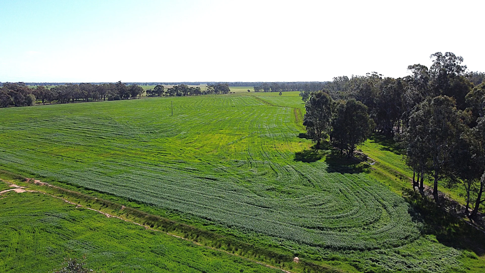 Additional image 19 of . Bangerang Road, Kanyapella VIC 3564