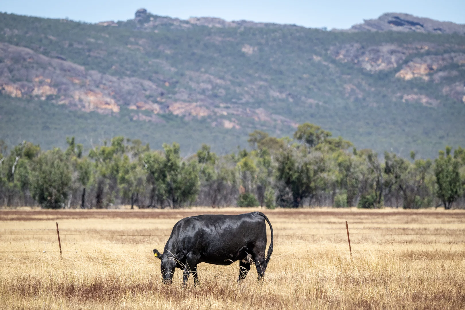 Additional image 10 of Golton South Road, Dadswells Bridge VIC 3385