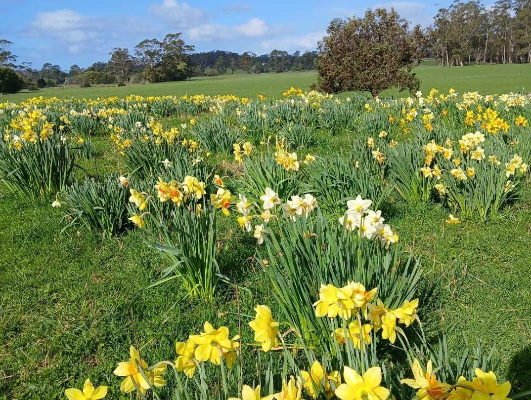 Additional image 7 of 74 Fosters Road, Wynyard TAS 7325
