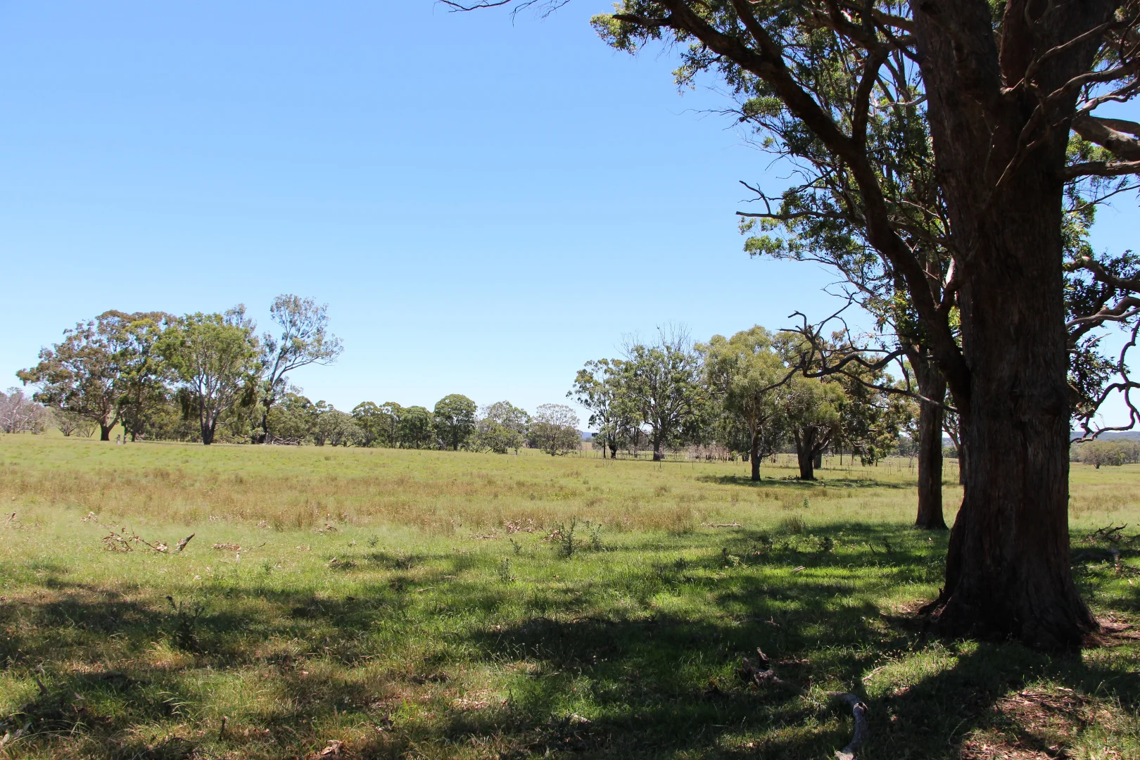 Additional image 19 of 134 Ruwenzorie Rd Wellingrove, Glen Innes NSW 2370