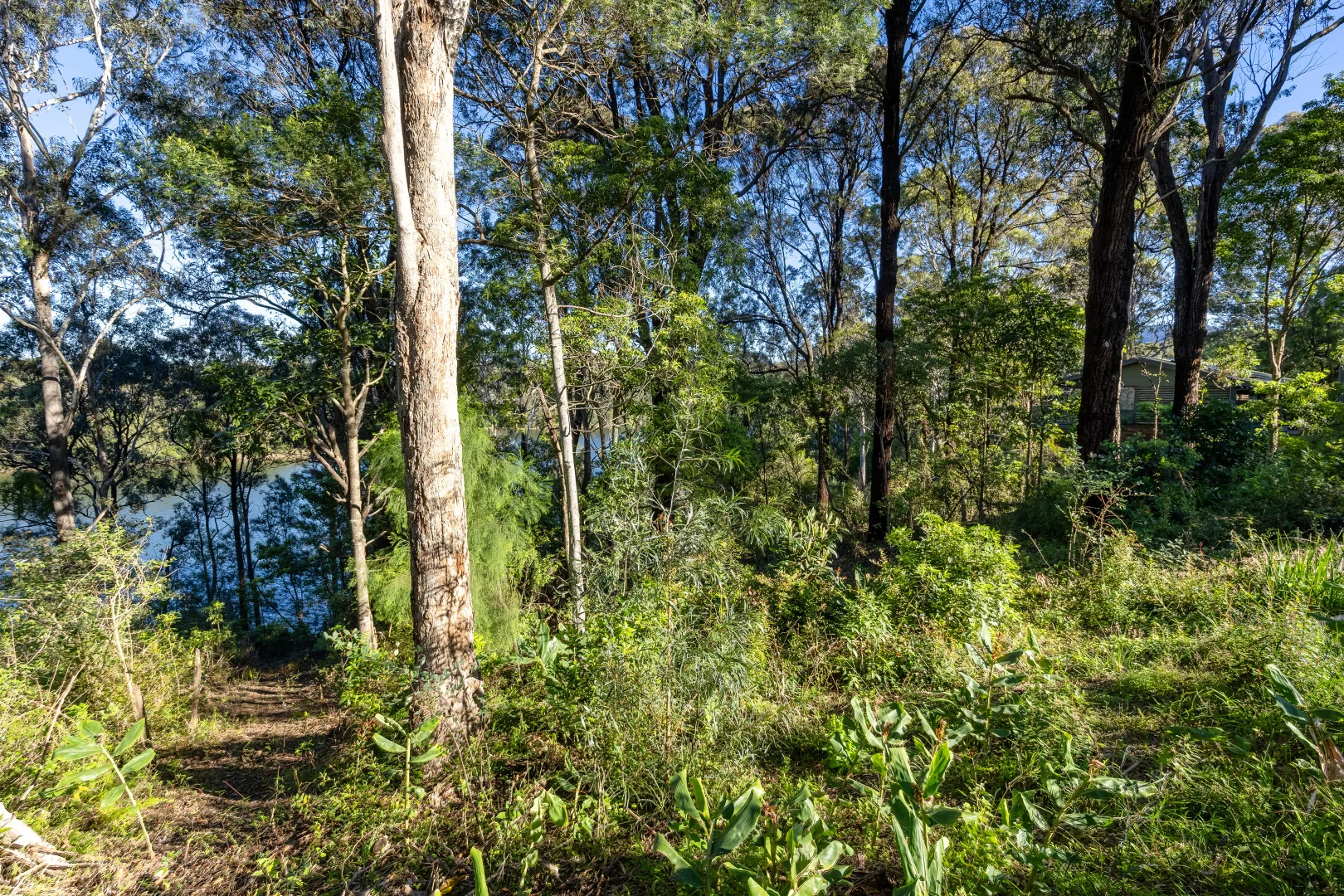 Additional image 9 of 322 Bermagui Road, Akolele NSW 2546