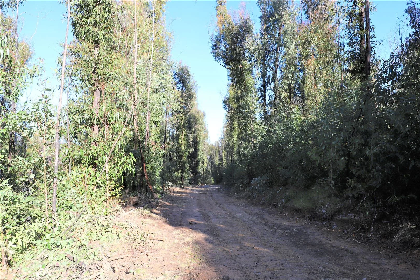 Additional image 16 of Lot 34, 35, 36, 79 Monaro Highway, Rockton NSW 2632