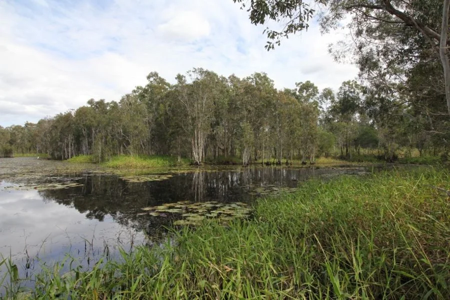 Additional image 24 of 310 MOLLENHAGENS ROAD, Winfield QLD 4670