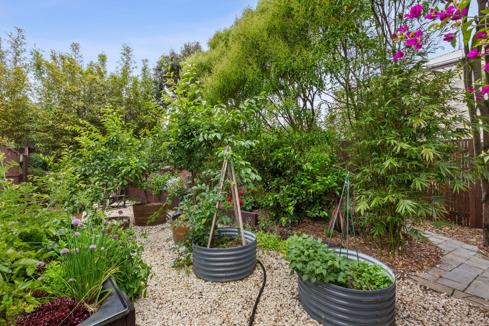 Additional image 25 of 14 Highlander Street, Torquay VIC 3228