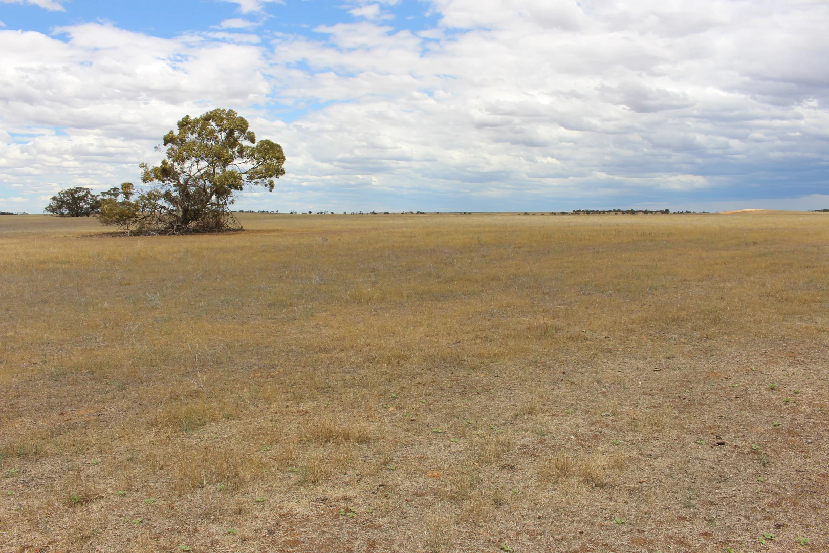 Additional image 5 of Section 95 Geranium North Road, Marama SA 5307