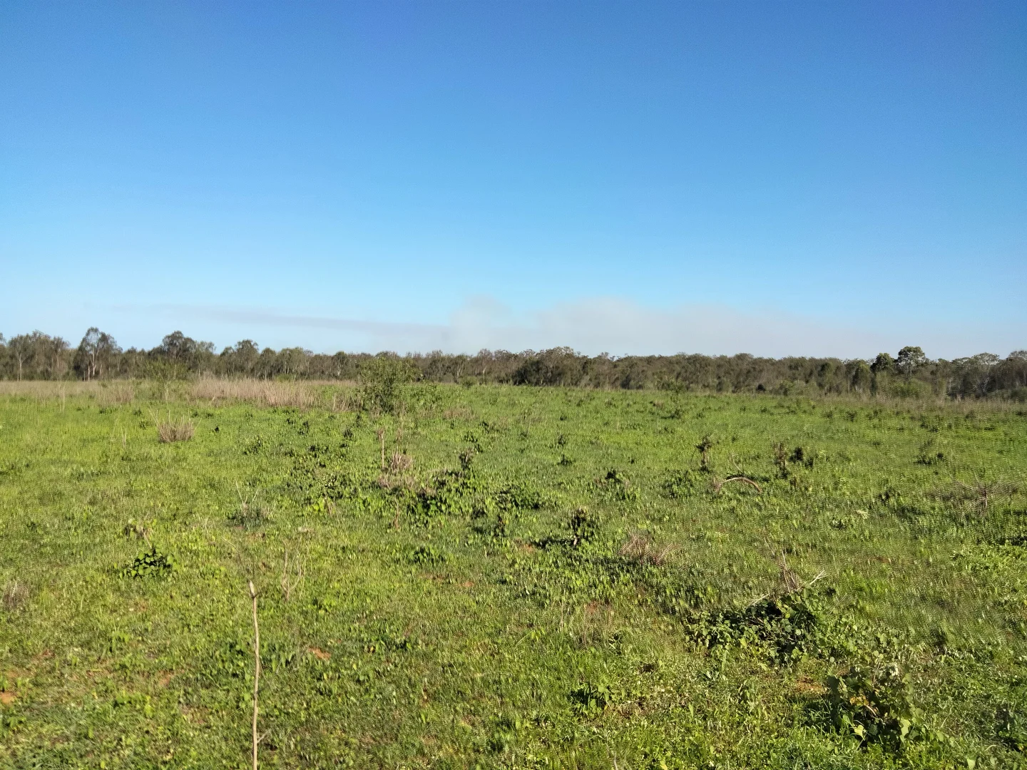 Additional image 73 of 2913 Rosedale Road, Yandaran QLD 4673