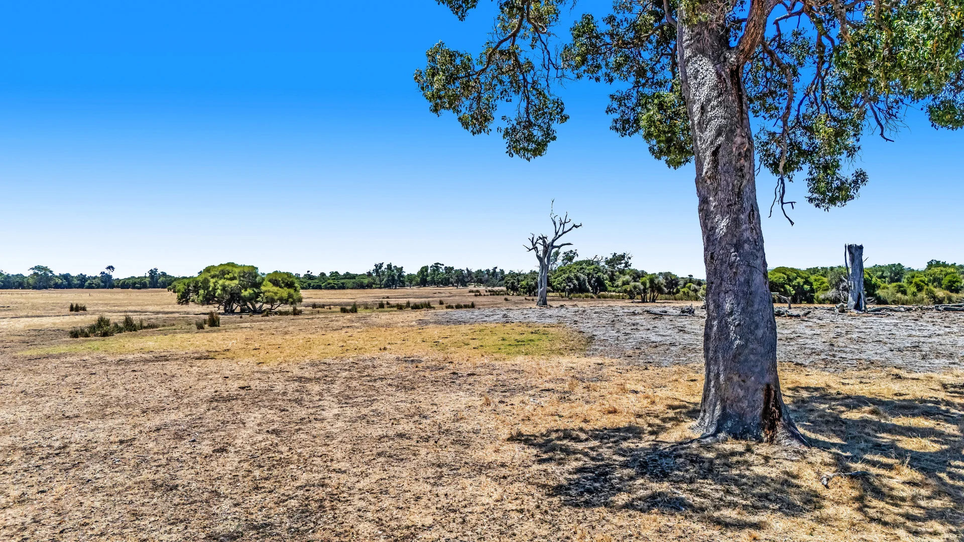 Additional image 32 of Lot 1 Jilley Road, Boyanup WA 6237