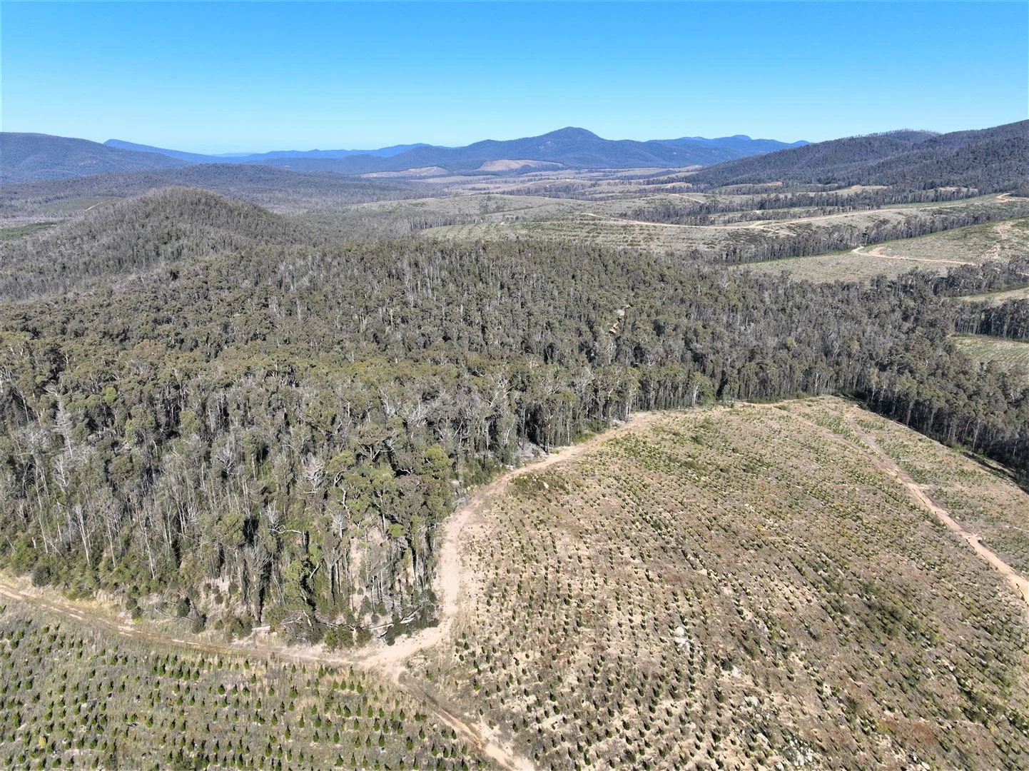 Additional image 8 of Lot 34, 35, 36, 79 Monaro Highway, Rockton NSW 2632