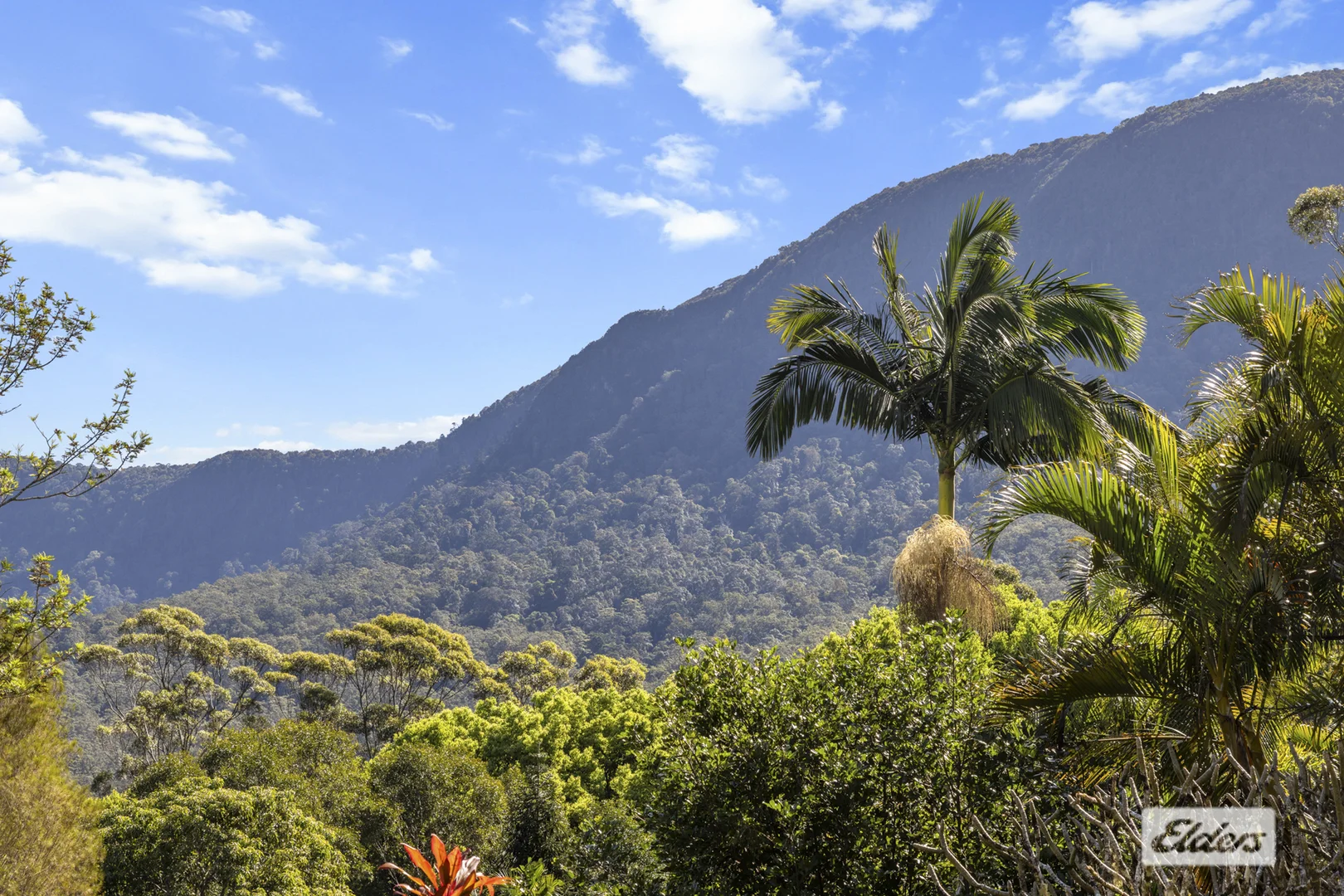 Additional image 13 of 185 Stoddarts Road, Tyalgum Creek NSW 2484