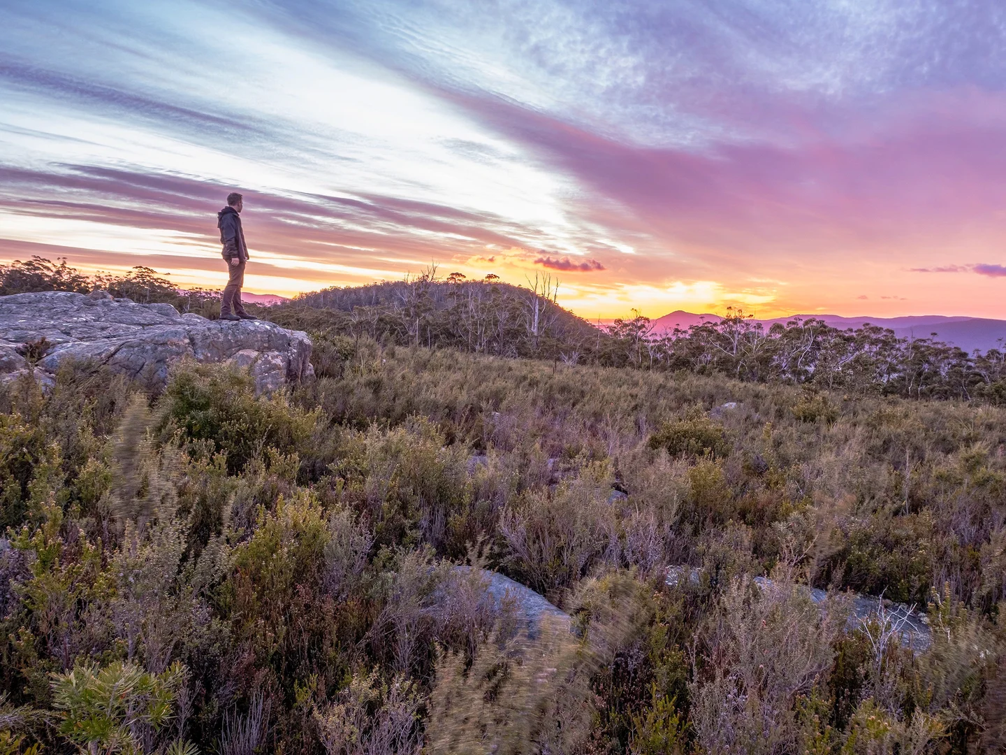 Additional image 33 of 300 Browns Road, Ranelagh TAS 7109