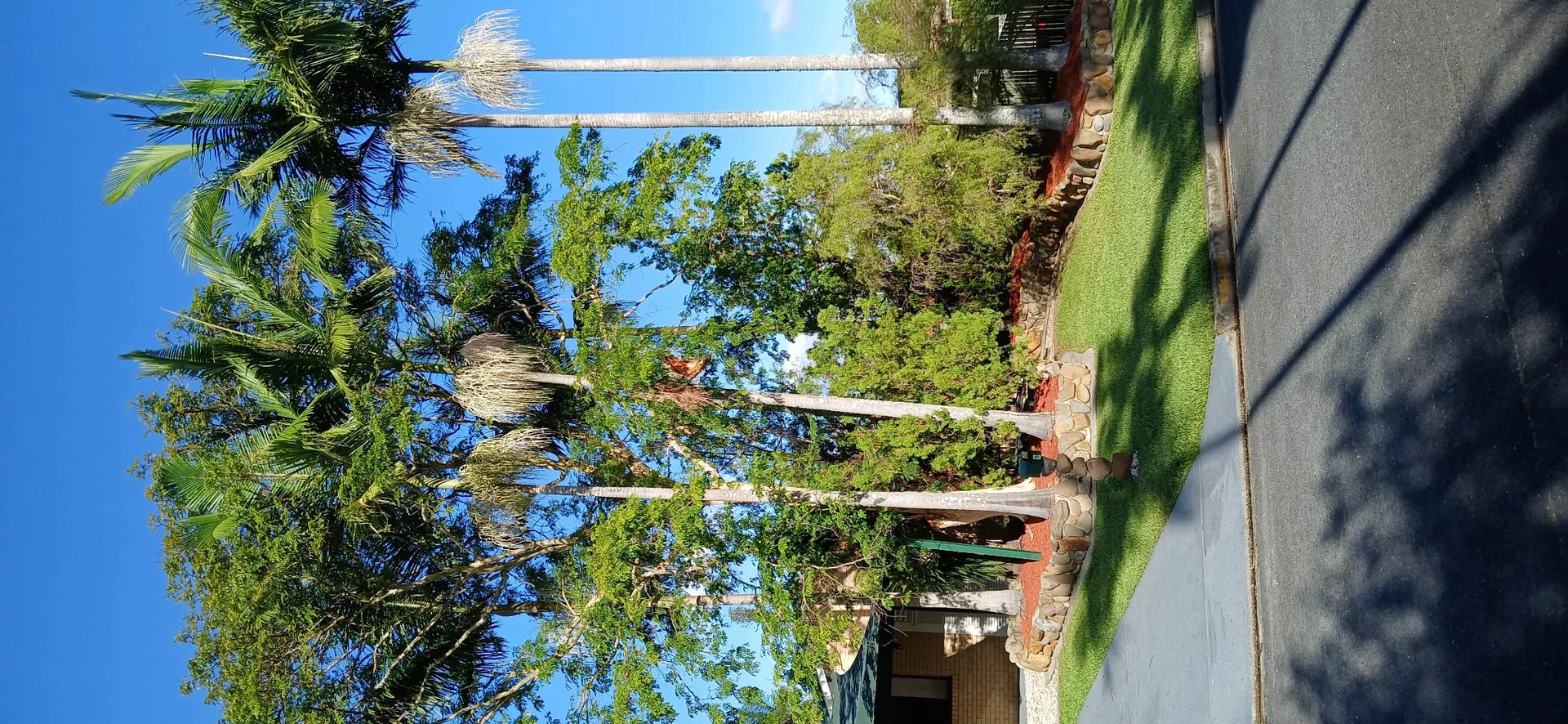 Additional image 5 of Ashmore QLD 4214