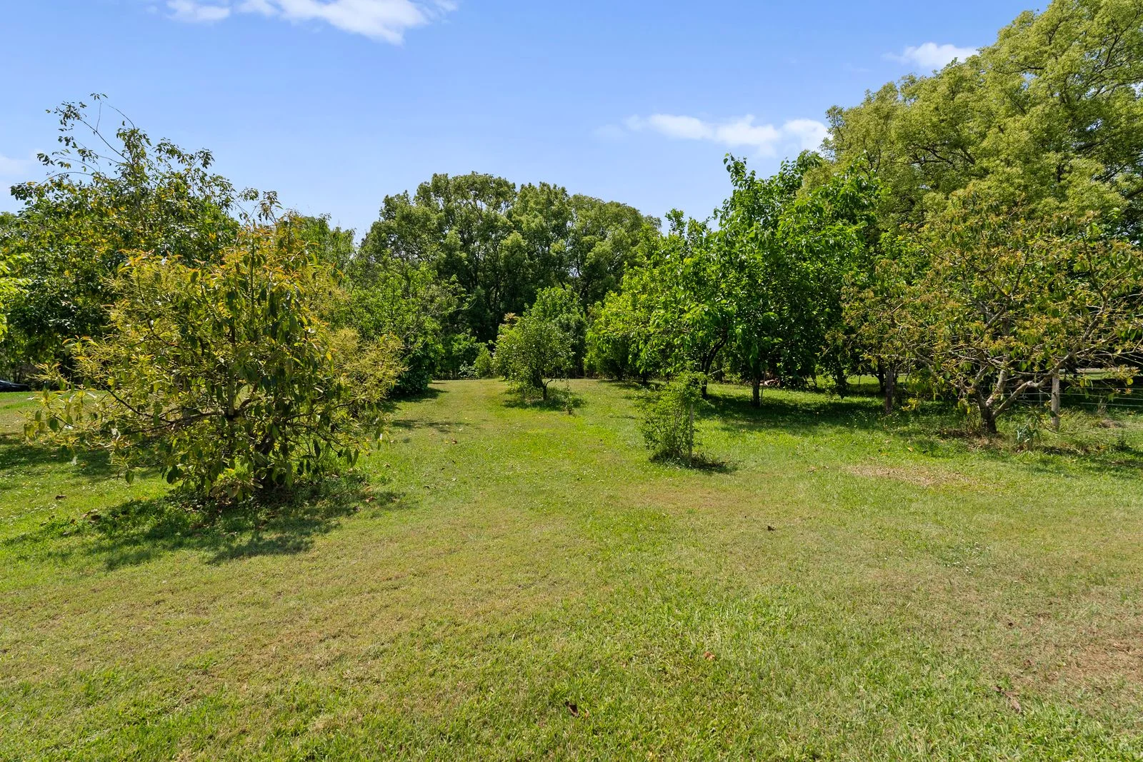 Additional image 38 of 981 Numinbah Road, Crystal Creek NSW 2484