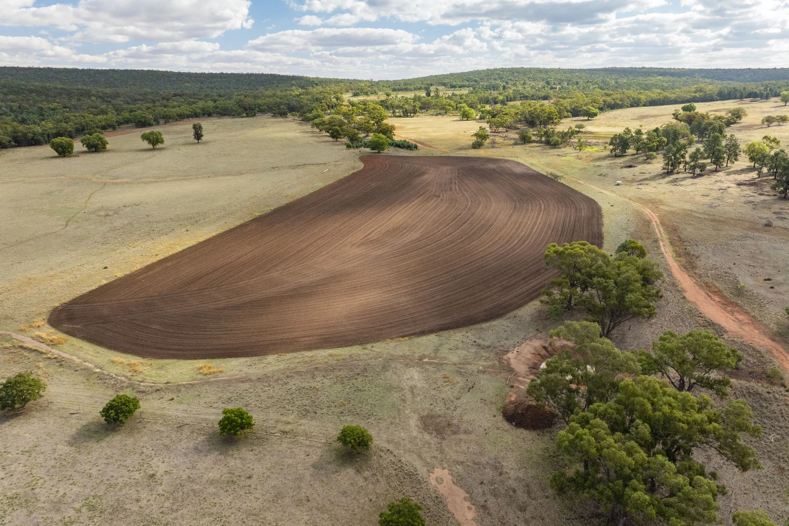 Additional image 11 of 431 The Springs Road, Rankins Springs NSW 2669