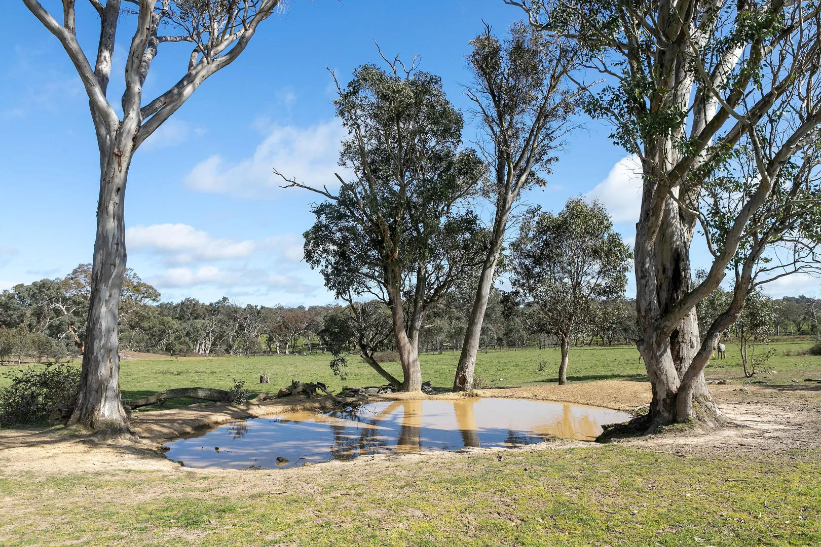 Additional image 13 of 257 Stadtmillers Lane, Bowning NSW 2582